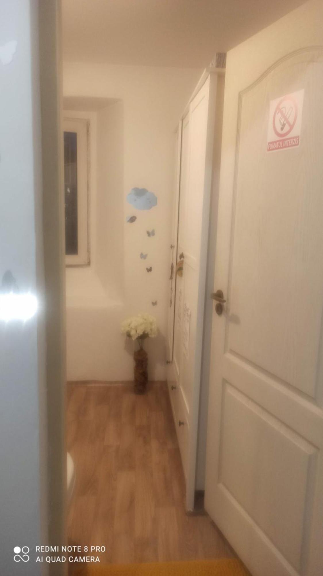 Studio Pe Somes Клуж-Напока Экстерьер фото